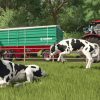 Farming Simulator - Signature Edition - Nintendo Switch 2