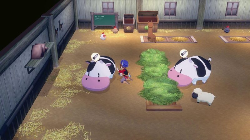 Story of Seasons Grand Bazaar - Nintendo Switch 2