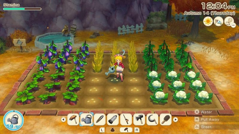 Story of Seasons Grand Bazaar - Nintendo Switch 2
